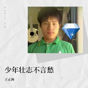 王正洲-少年壮志不言愁