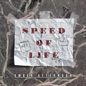 Speed of Life (Keyboard Remix) (Inst.)