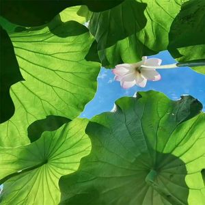 我的脖子要断了