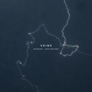 Veins