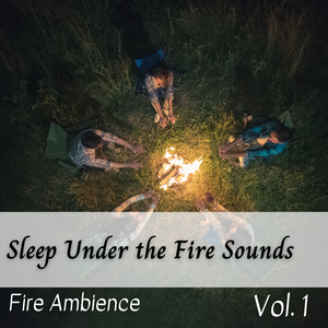 We Didn't Start The Fire