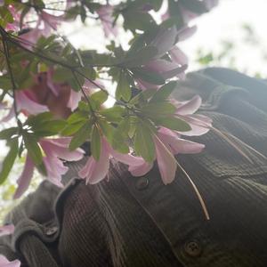 ALONE (feat. Maritza Nunez)