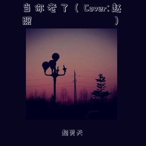 当你老了