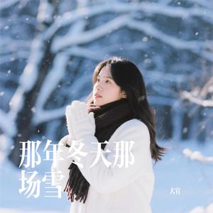 那年冬天那场雪