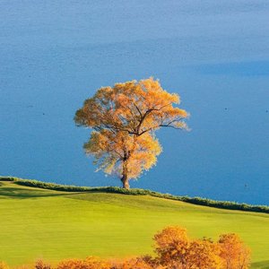 _麦浪 星星点燃