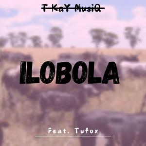 Ilobola (feat. Tufox)