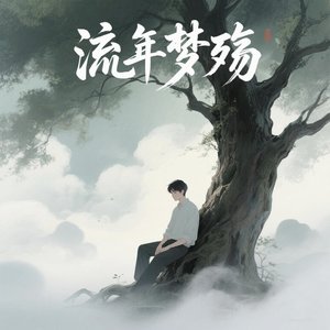 流年梦殇