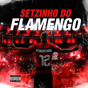 Setzinho do Flamengo
