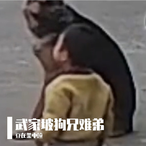 武家坡狗兄难弟