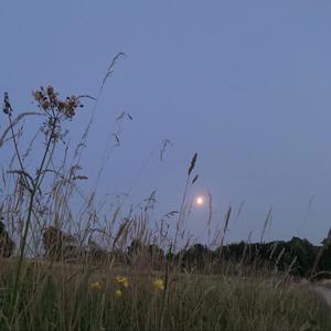 пачка сигарет (slowed - instrumental)