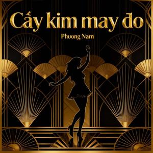 Cây kim may đồ