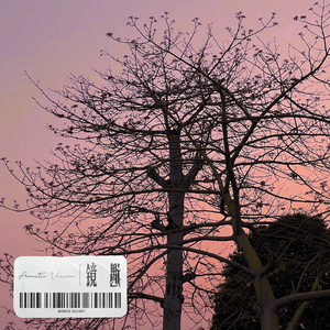 镜遇（Acoustic Version）