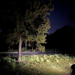 拾ってあげたい