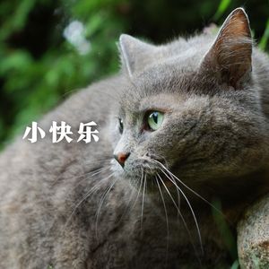 窝中之音 (吉他)