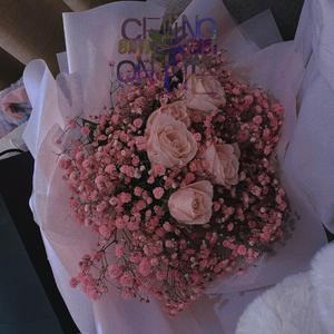 餐巾纸&玫瑰花(Spylent-恶贯满盈 youZzz1 remix）