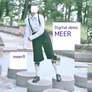 上書きする標本