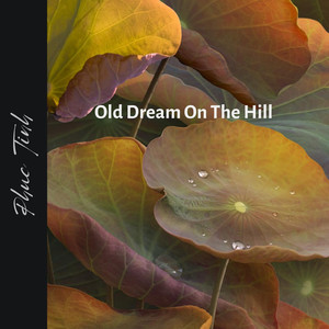 Old Dream On The Hill