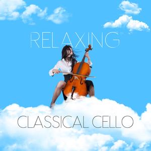 Concerto for 2 Cello and Strings in G Minor, RV 531g: II. Largo