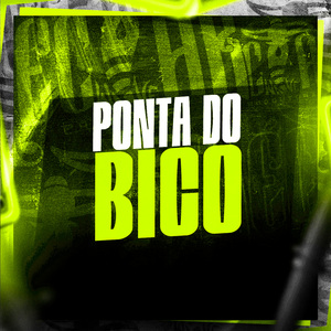 Ponta do Bico
