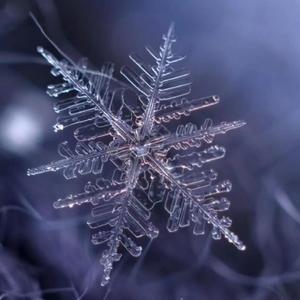 哥的冷酷零下五度