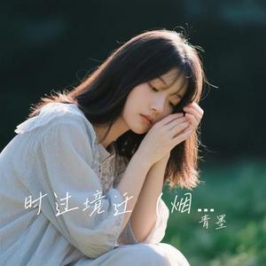 时过境迁 (青墨 Remix)
