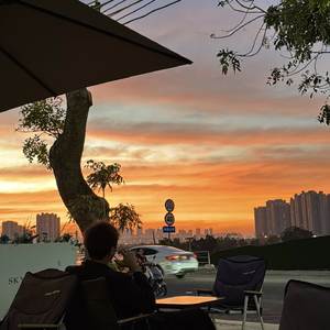 爱已枯萎