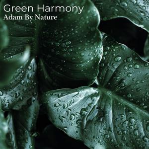 Green Harmony