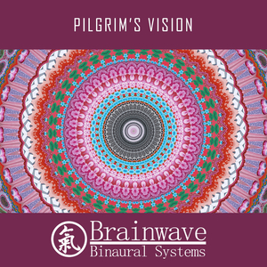 Pilgrim's Vision