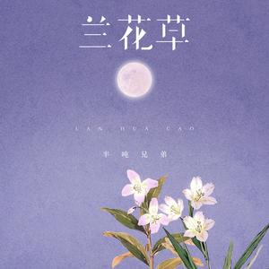 兰花草 (DJJUSTING版)