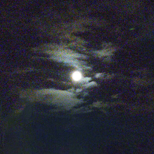 Moonlit