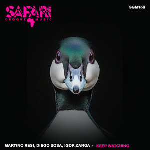 Keep Watching (Original Mix)