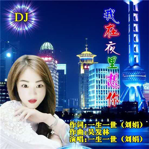 我在夜里想你（DJ版伴奏）