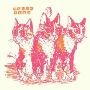 אפחד לא לימד אותך