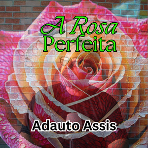 A Rosa Perfeita