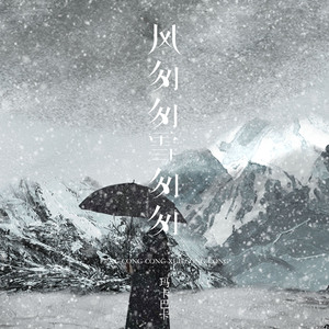 风匆匆雪匆匆