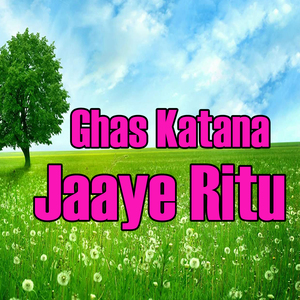 Hariyali Bani Jaimala