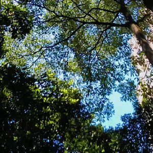 《秋道奈寻》-宴清娇