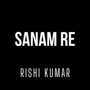 Sanam Re (Instrumental Version)