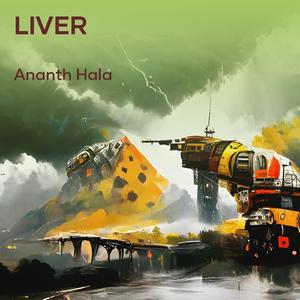 Liver