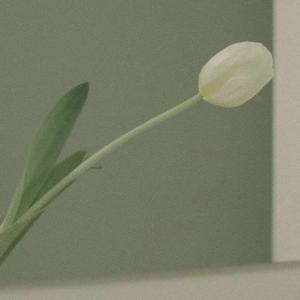 遥不可及的你 冉