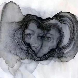 白天鹅与丑小鸭