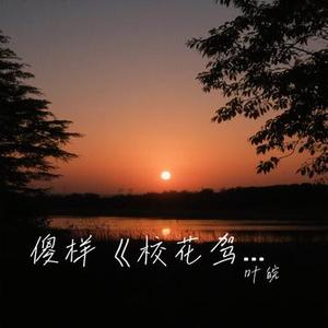 傻样 (Cover 赵奕欢)