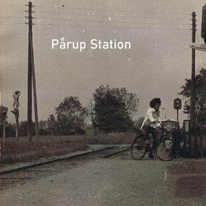 Bong (eksotiske gæster)