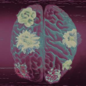 Keep Calm and Play Along