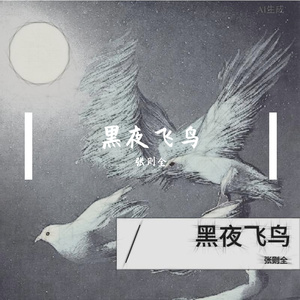 黑夜飞鸟