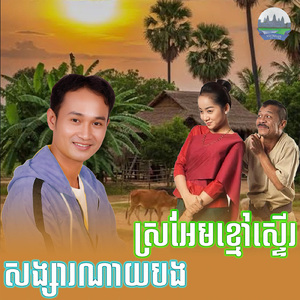 សង្សារណាយបង ស្រអែមខ្មៅស្ទើរ