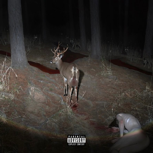 i appologize im sorry