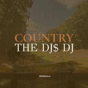 COUNTRY (HER GROOVE$)