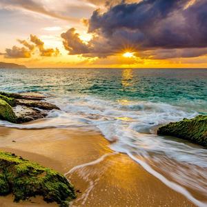 希望生活像可乐般可乐