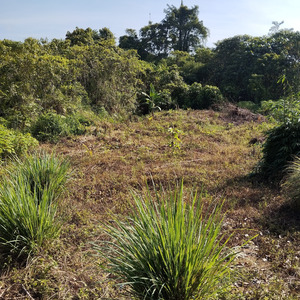 Pelangi Sehabis Hujan Sape